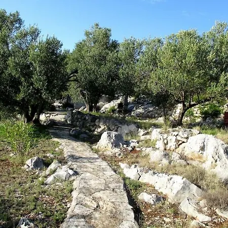 Private Island Scitna - House Luel
